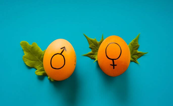 Leadership maschile o femminile?                                              Unicità, differenze e valore: dati di ricerca e riflessioni sul profilo di leadership necessaria  (2/2)
